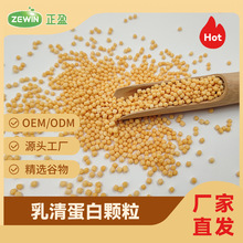 �󶹵����w�� �㶹�����w�� ���嵰���w�� ��N�����w�� ��С�w��