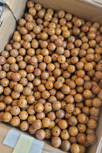 龙眼菩提 抛光 散珠 十八籽 配珠 13mm 菩提散珠