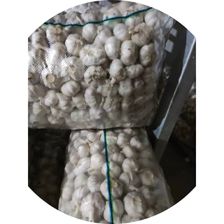 库存大蒜原料代加工含商检蒜头杂交白蒜红蒜小网袋装新鲜保鲜大蒜