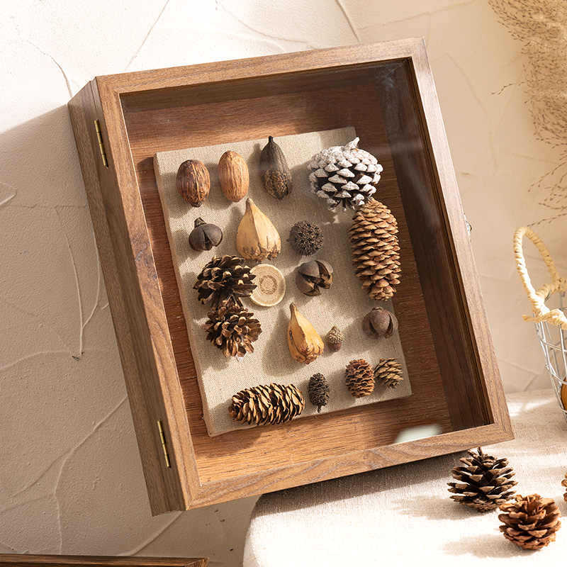 Three-Dimensional Hollow Photo Frame Butterfly Specimen Display Frame Insect Plant Dried Flower DIY Shell Storage Box Picture Frame Empty Frame
