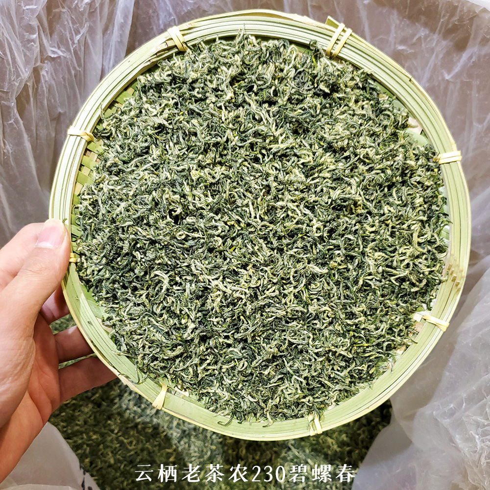 230碧螺春原图