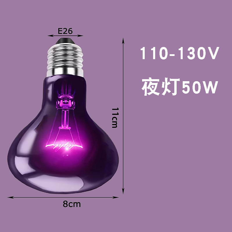 R80 야간 조명 110V 50w