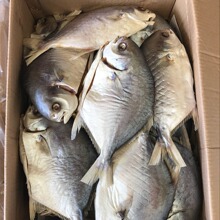 �a��؛Դ�V������~�����ڣ�ÿ����15����