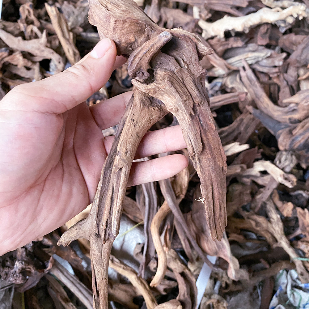 Aquarium landscaping decoration: natural driftwood branches assembled into a skeletal structure, paired with Brazilian tree moss plants.