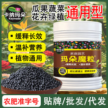 ���{����ֲ�ﾏጷʠI�B�����ʊW�G�B������ͨ���͏ͺϷʵ����