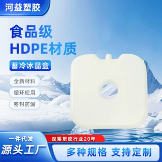 工厂定制小方块造型冰晶盒食材运输保鲜制冷冰盒来图来样定做冰盒