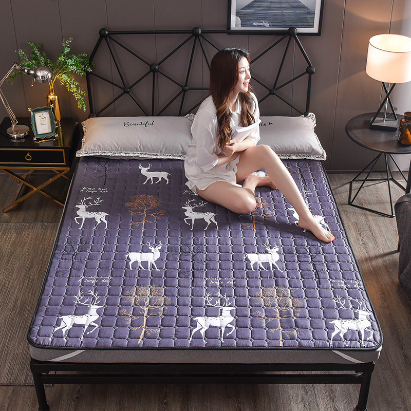 인터넷 연예인 엘크