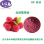 源头量大树莓红树莓果粉