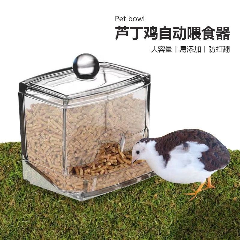 Comedero Automático para Pollo Rutin Mini, para Aves
