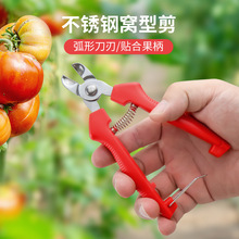 ���P䓸C��ժ���������O�������Ӳ�ժ��ˮ������������֦����