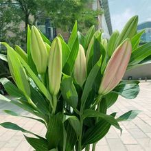 ��ˮ�ٺϻ��r���������ֱ�l����ֱ���r�л�ˮ�B�廨�������fͬ��