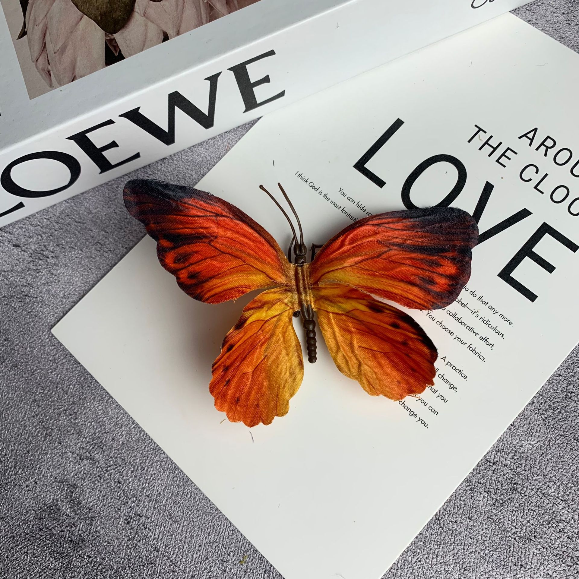 큰 나비 검은색 테두리 주황색