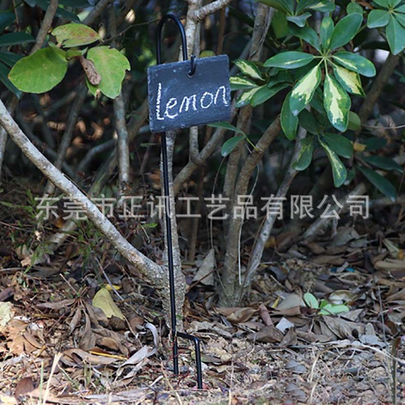 a10f5966d79dac3aa4593c04570dae