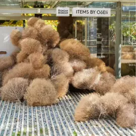 鲜花花艺制品;永生花;干花