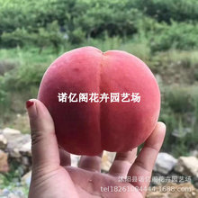 춬ѩ޽ӶѩҘشͺԵԮY