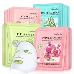 Yizhichun Camellia Niacinamide Mask Hydrating and Moisturizing Essence Mask Cross-border Foreign Trade Wholesale