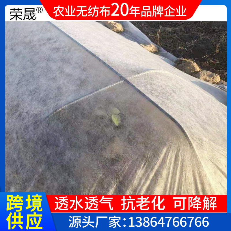 出口农业农用无纺布 保温防寒布水稻育秧防虫透水透气农用防草布