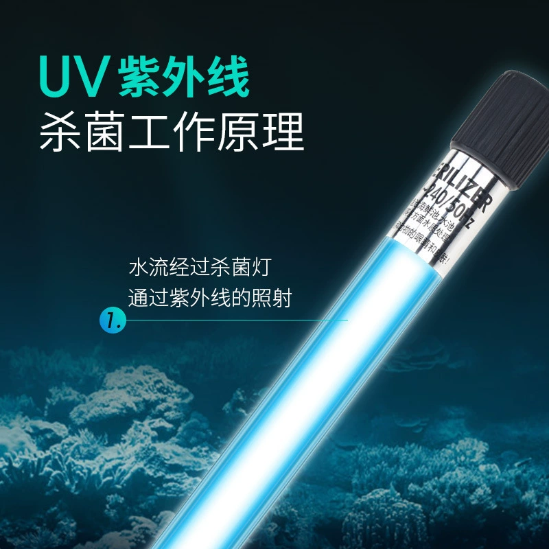 Aquarium, underwater sterilisation lamp