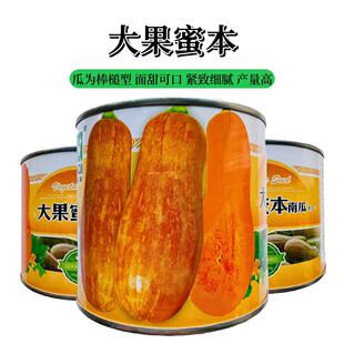 ��� ζ�� ����ȼtɫ ���漚ā �_�h���۱��ڸ���Ŵ �۱��Ϲ�