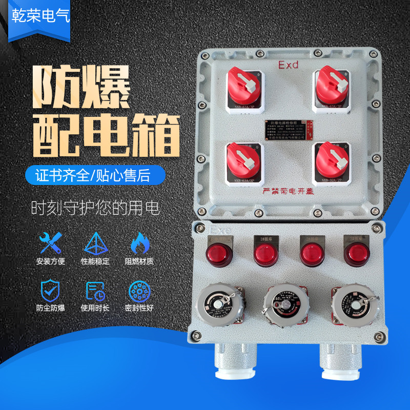 厂家定制工业防爆配电箱 仪表动力照明配电控制箱 电源检修接线箱