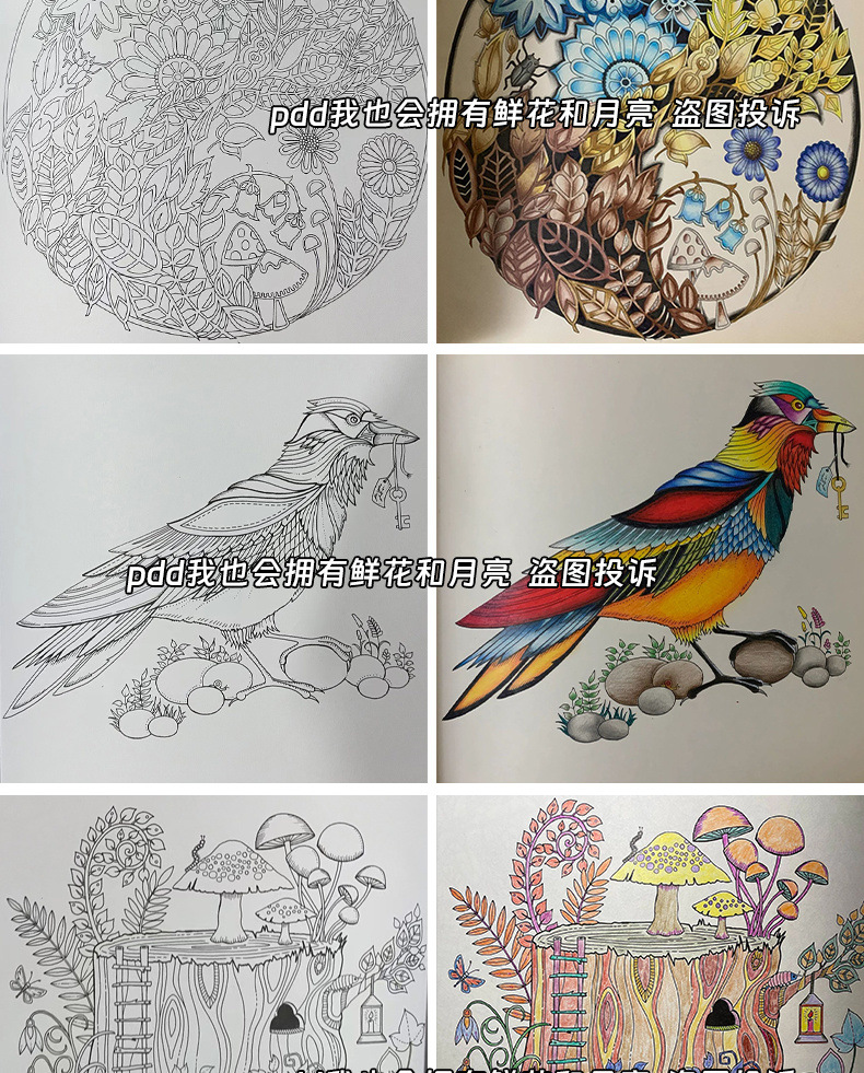 b9716126-1af9-4a39-bb3b-dd70d8b52aae.jpe