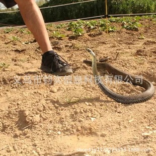 Snake Prank with String Clip�羳���K�A���ߐ���������Y�����