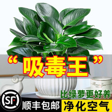 �������ֲ��ˮ����~�Gֲ�K����k���҃��̨��������׳ɻ��