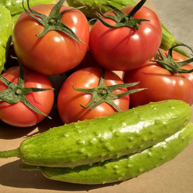 普罗旺斯西红柿白玉黄瓜拼装4.5斤当季生吃水果蔬菜