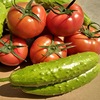 Provence Tomatoes White jade cucumber Assemble 4.5 Season fruit Vegetables