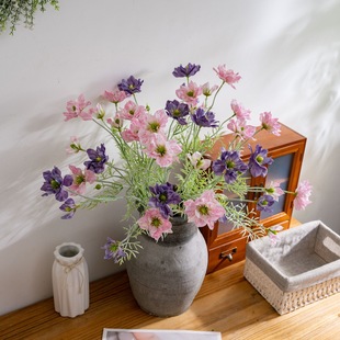 �S�ҵ�����ɏ�����滨�Ҿ��b�c������õ�廨���ٻ�INSCL89001