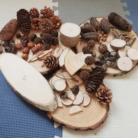 儿童模型干花 手作材料包 创意DIY原木画 自然原木片幼教手工制作