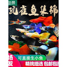 ��ȸ�Ꭷ�^�p�~�絭ˮ��ˮС��С�~���B�ͻ����B���~�Pβ���R���~