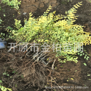 �ؽӽ��~�����Ա���G�h����ؽӽ��~�����ͽ��~��3-10�G����ľ