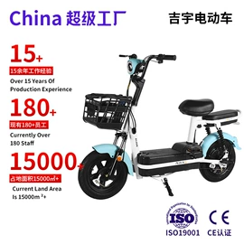 其他电动车;电动三轮车