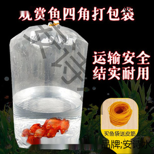 �^�p�~������~���ĽǷ���������b���~�\ݔ���ϼӺ�ˮ���������