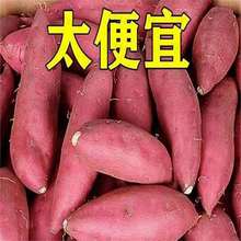 _ɳtFڬFlعɽŴܛŴ9]