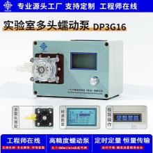 实验室多头蠕动泵DP3G16 流体定量传输计量泵电动直流微型水泵