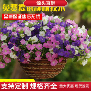 ������ţ�N�ӻ��ܷN�����ٰ���ţ���N��Ұ���M�ϻ��ѻ������Ȼ�