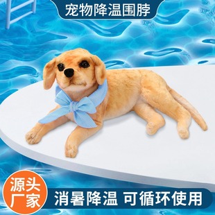 �ļ���ͨ��������� ؈�乷�����،������ ���n��������