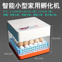 源头工厂24枚全新款全自动孵化机小型孵化器家用型智能孵蛋器