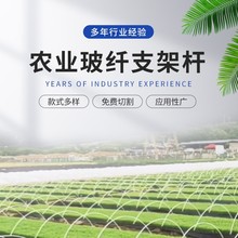 4mm�����w�S���r�ô���֧�ΗUС����֧�܎���U�o�|���Ĳ����w�S