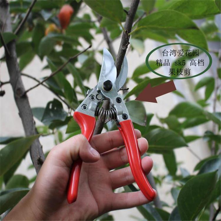 批发爱花园精品SK5果枝剪树枝剪修枝剪园艺剪刀园艺树木五金工具