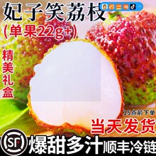 海南妃子笑荔枝新鲜水果当季现摘应季爆甜老树大果王顺丰整箱包邮