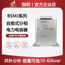 ָ�����F������������BSMJ0.28-5X3-1���a���ͽӆ�����ݽM���M