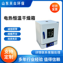實驗室電熱恆溫烘干箱 數顯控溫高溫烘箱 恆溫真空干燥箱