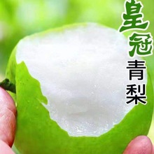 ��Ƥ��ʹ��污Ƥ���Ӯ������rˮ���O�������lһ����