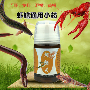 �~�T�r�X�`���r�S�X���~���q�з���r���r�X�~���Tʳ��ץ�~�\Сș