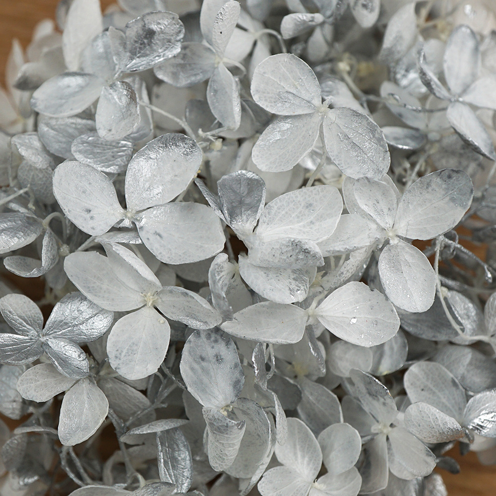 Hortensia de Madera con Degradado A+, Hortensia con Degradado, Flor Preservada, Flor Seca de Unicornio, Hortensia Preservada, Venta al por Mayor