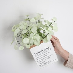 INS風PE尤加利葉金錢葉仿真花廠家家居裝飾跨境批發假花MW09919