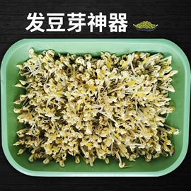 花盆容器;豆芽机